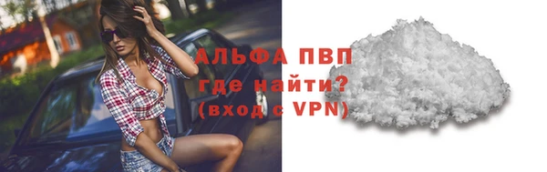 прущие грибы Аркадак