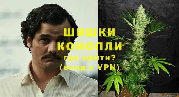 прущие грибы Аркадак