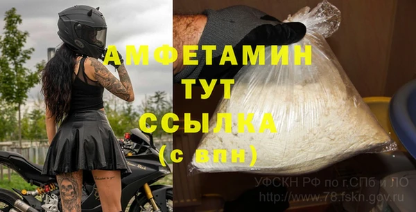 прущие грибы Аркадак