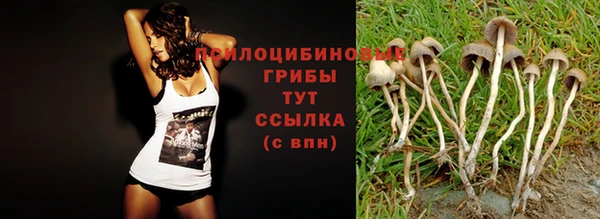 дживик Армянск