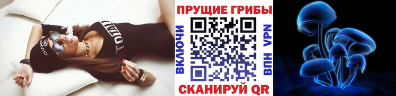 как найти   гидра ссылки  Псилоцибиновые грибы GOLDEN TEACHER  Можга 